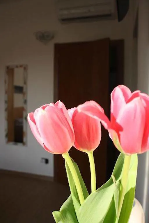 I Due Orfici Bed & Breakfast Cona