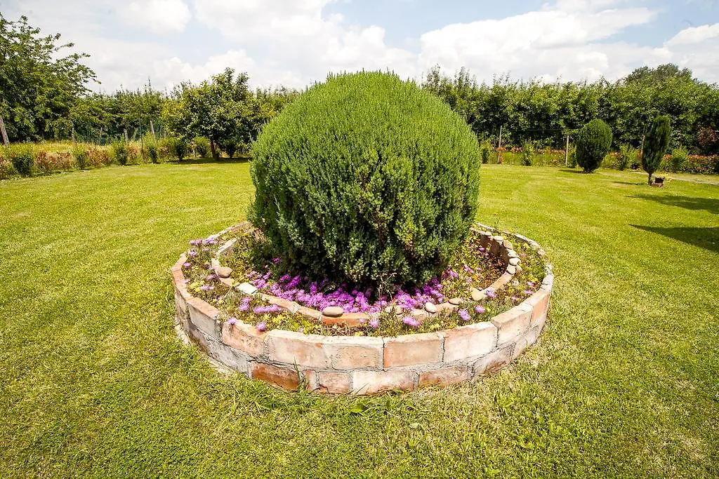 I Due Orfici Bed & Breakfast Cona  Italy